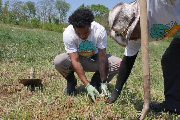 Two people plant a tree.