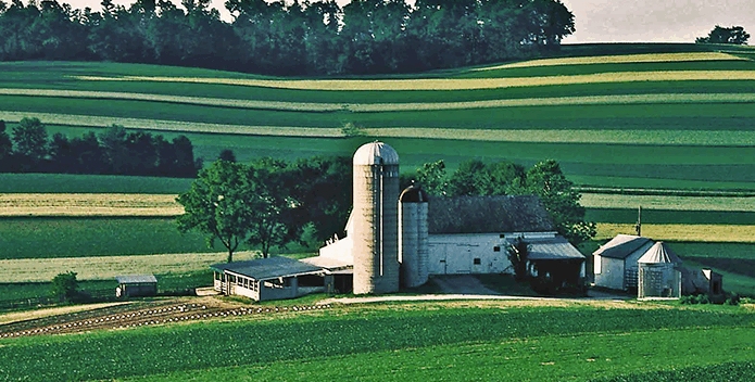 A farm sits in the middle of hills covered with strips of crops in alternating hues of green.