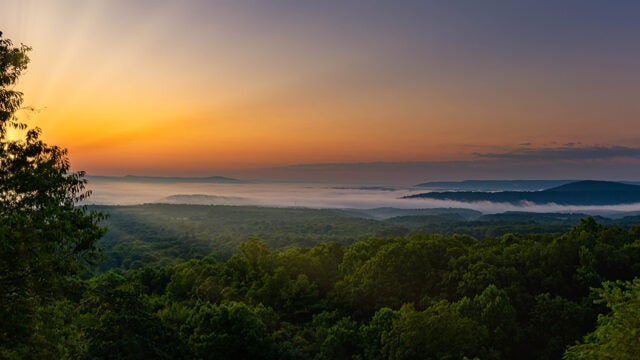 Sunrise over forested mountains with fog settling in the valleys below.