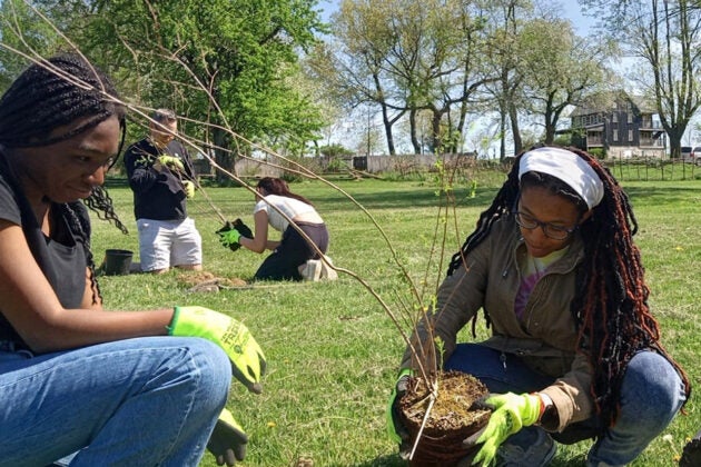 Two young Black women plant a tree together.