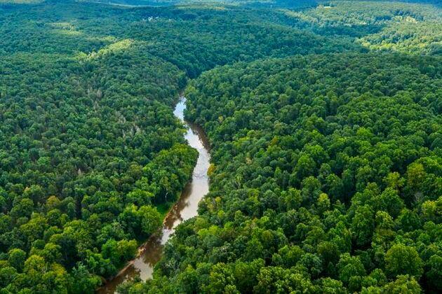 Aerial view of heavily forested hills with a river running through.