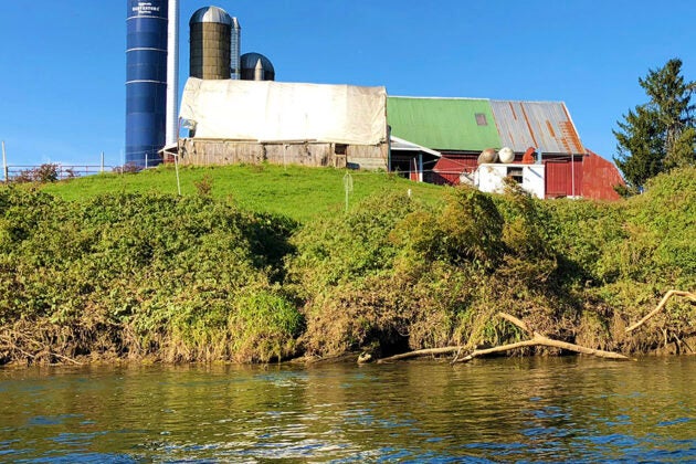 A farm with multiple silos and a multi-colored barn sits on a hillside above Pequea Creek with a vegetated buffer along the waterway