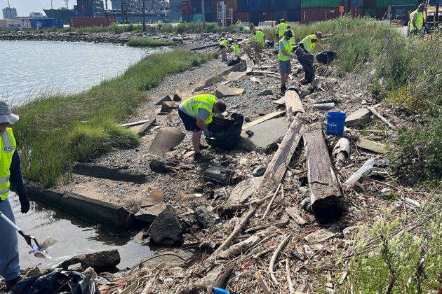Several people in yellow vests pick up litter along the shoreline.