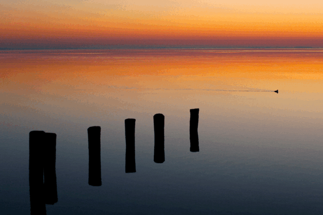 Silhouetted wooden pilings in calm water at sunrise with orange and pink sky reflected on the surface.