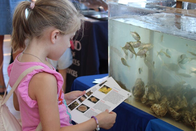 A young girl examines an aquarium containing fish and oyster shells while reading an educational guide.