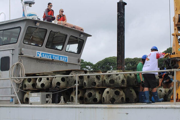 Concrete reef balls sit on a Chesapeake Bay Foundation boat.