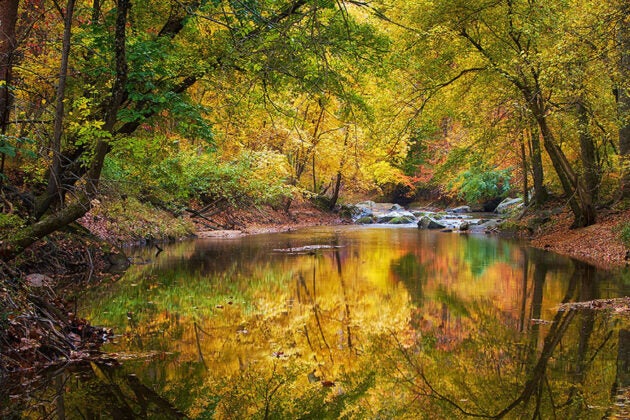 utumn trees with golden and green foliage reflected in a calm river.