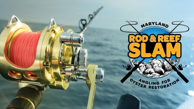 Maryland Rod & Reef Slam fishing tournament logo with gold reel over Chesapeake Bay waters.