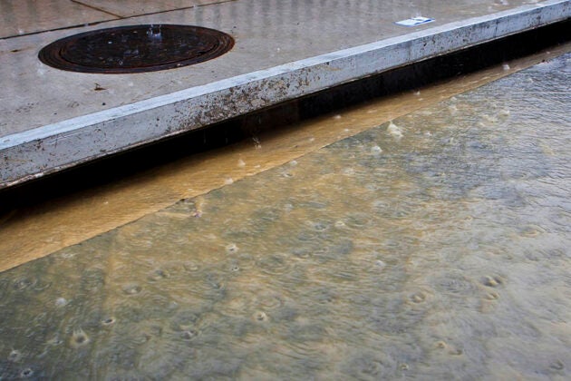 Murky stormwater runoff flows into a storm drain during a rain event.