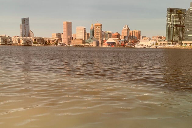 Brown, murky water in Baltimore's Inner Harbor with the city skyline visible in the background during a fish kill event.